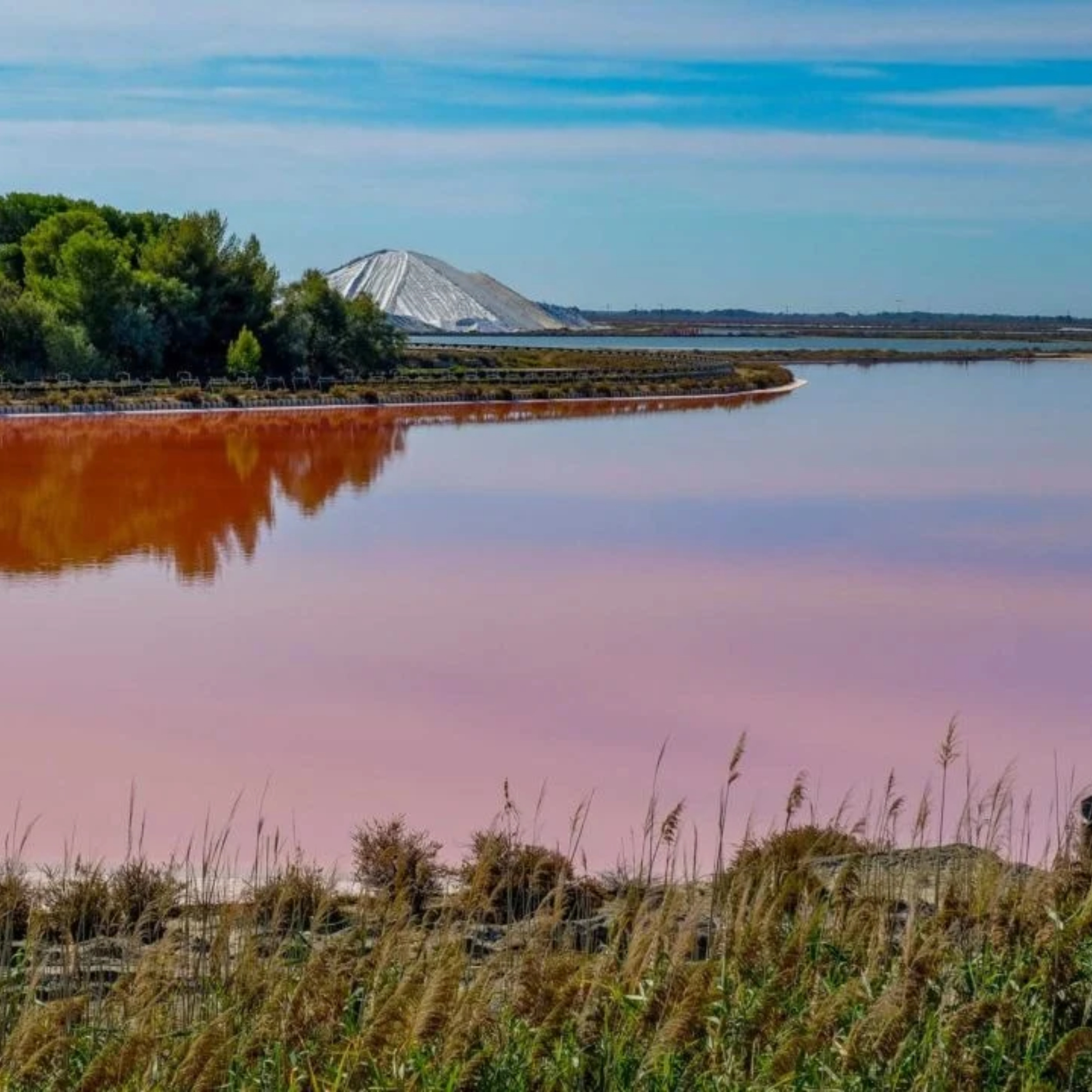 30 ap media salons maires collectivites amf