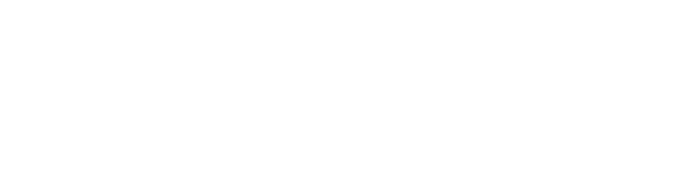 logo ap media blc 2